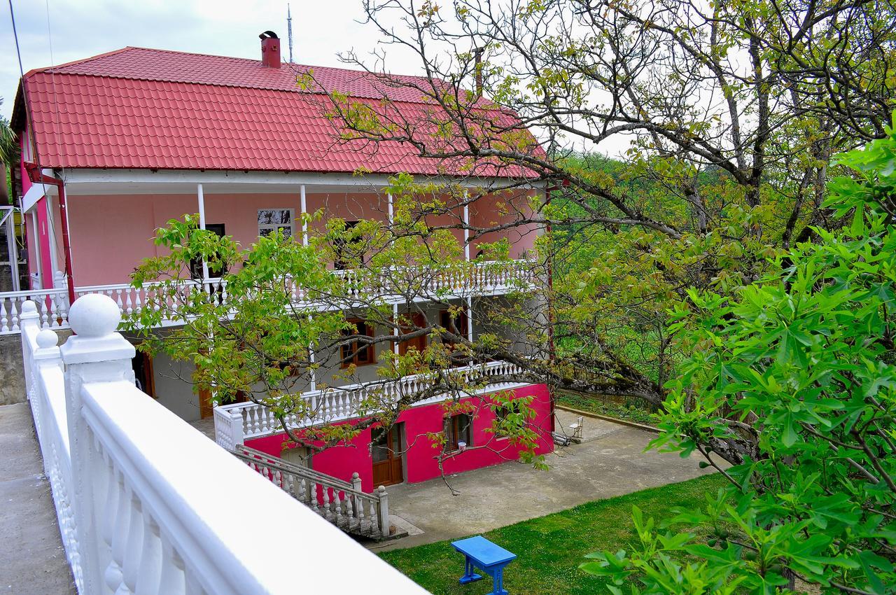 Sofia Guest House Κουτάισι Εξωτερικό φωτογραφία
