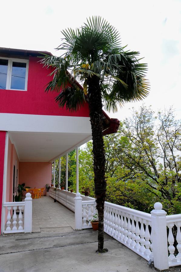 Sofia Guest House Κουτάισι Εξωτερικό φωτογραφία